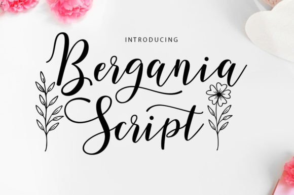 Bergania Script: A Modern Typeface for Elegant Projects