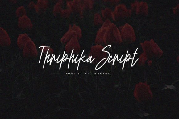 Thriphika Script: A Modern Handwritten Typeface for Elegant Designs